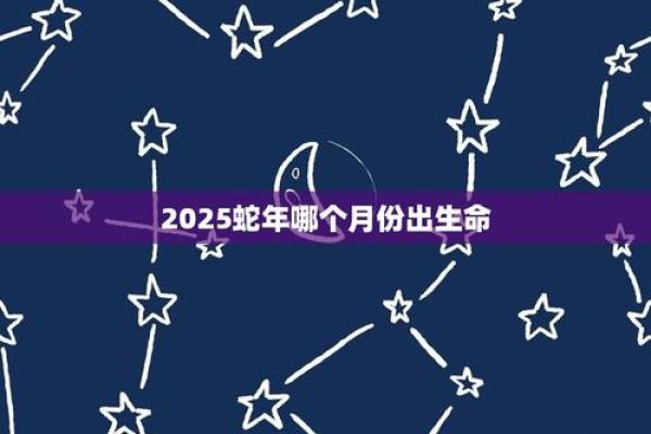根据什么属性就是什么命：命运与个性之间的微妙联系