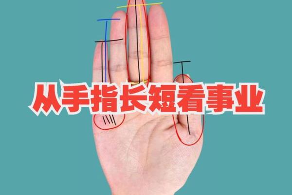 探寻手指长度的秘密：从科学看命运与性格之关系