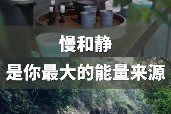 性格与命运的微妙关系：破解命别不信的秘密