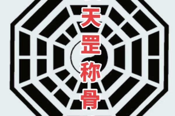探秘命理：一命二运六命的深刻含义与启示