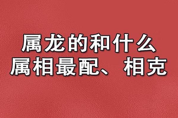 男女生肖命理解析：如何影响你的性格与命运？