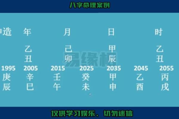 木命与其他命理兴财之道探讨：缘何能相生与共荣？
