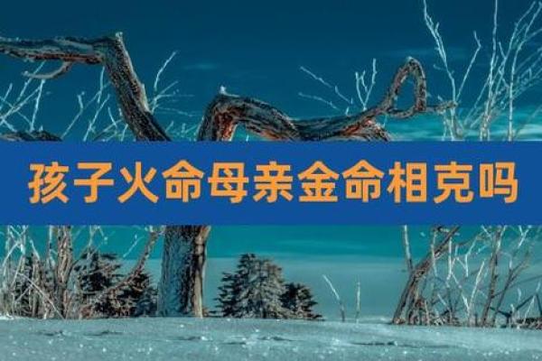 金命与火命:寻找最适合的吉祥物,助您运势飙升! 金命与火命:寻找最适合的吉祥物,助您运势飙升!