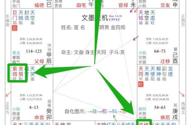 有小腹的女生命运解析：从外貌到内心的深度解读