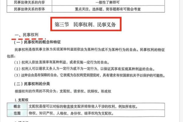 有小腹的女生命运解析：从外貌到内心的深度解读