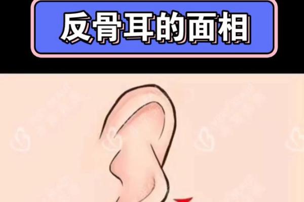 耳朵往前照人:解密命运与耳相的关系 耳朵往前照人:解密命运与耳相的关系
