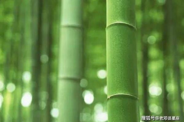男水命与哪些命相配，助你事业爱情双丰收！