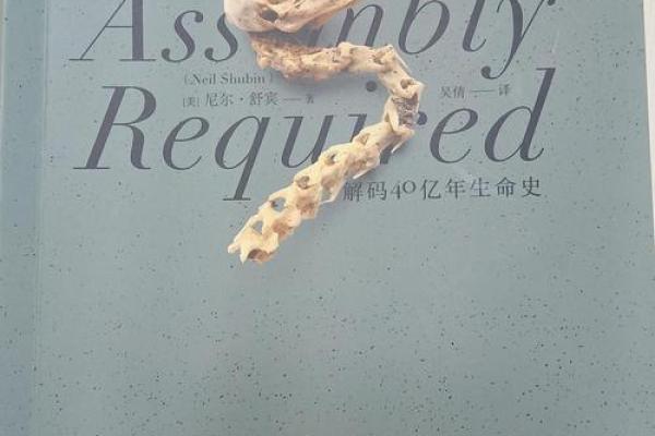 探寻生命的奥秘：什么是生，什么是命？