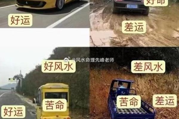 1991年出生的男性，三元命解析与人生启示