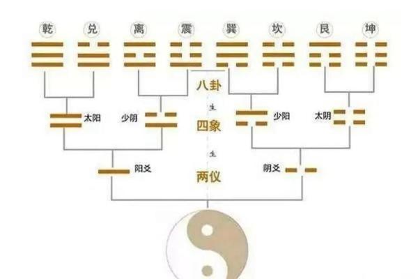 通过脚掌纹解密命运：你不可不知道的卦象与人生