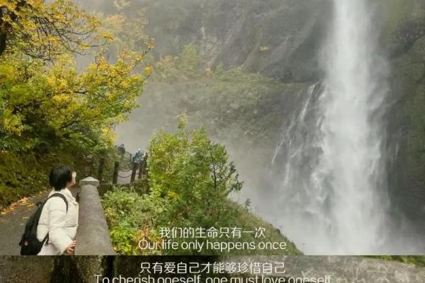 有什么命就过什么日子:拥抱生活的真谛 有什么命就过什么日子:拥抱生活的真谛