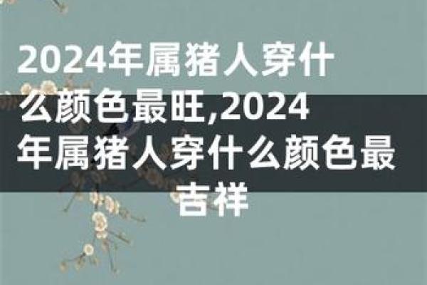 1994年属猪人的命理解析：人生的机遇与挑战