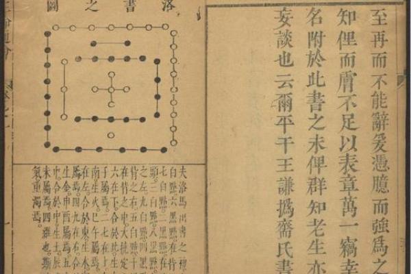 命理学中的“命”：探寻生命的奥秘与意义