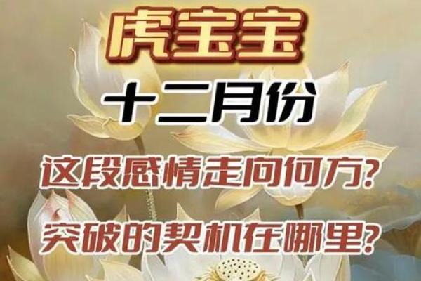 探索19960511：命运与人生的契机之旅