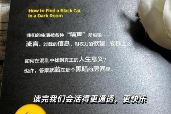 根据什么会什么，探索命运的奇妙法则