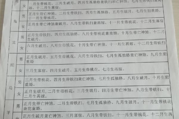 属猪腊月十六生人的命运解析与人生智慧分享 属猪腊月十六生人的命运解析与人生智慧分享