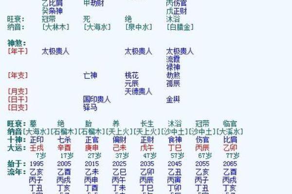 白颁命的特征与命运解析：揭秘人生的方向与选择