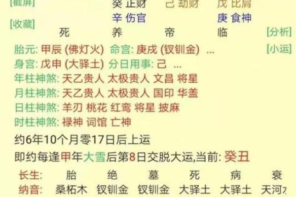 属狗人29岁运势解析:命理与生活的完美结合 属狗人29岁运势解析:命理与生活的完美结合