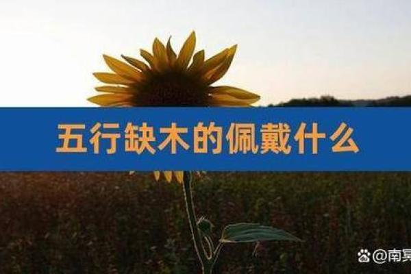 木命人的命理与生活:如何让生活更加和谐与顺畅 木命人的命理与生活:如何让生活更加和谐与顺畅