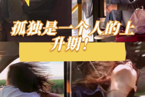 解读19940929出生者的命理与人生之路