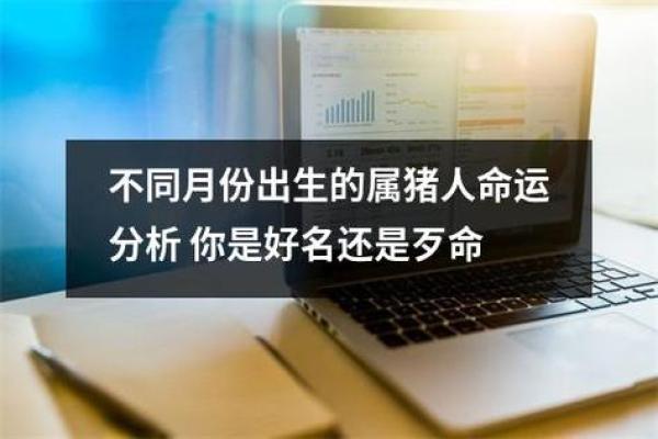 2014属猪命运解析:揭示您的性格与未来发展机会 2014属猪命运解析:揭示您的性格与未来发展机会