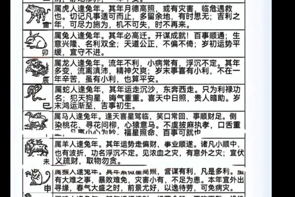 2023兔年出生的宝宝,命理解析与未来运势展望 2023兔年出生的宝宝,命理解析与未来运势展望