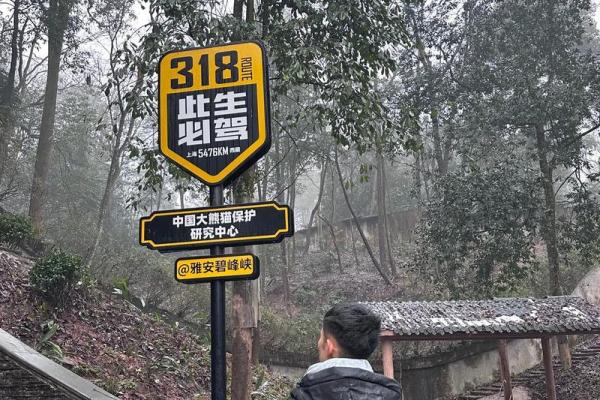 壬午日柱男命解析:命格特点与人生之路的探索 壬午日柱男命解析:命格特点与人生之路的探索