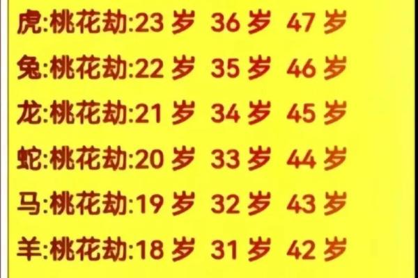 2023兔年出生的宝宝,命理解析与未来运势展望 2023兔年出生的宝宝,命理解析与未来运势展望