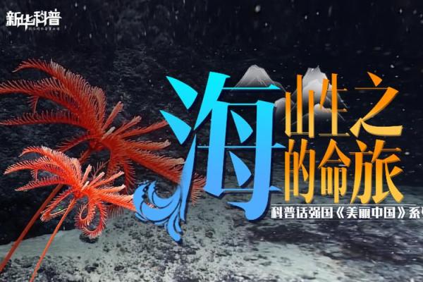 杨柳木命：那些与春风相伴的生命之旅