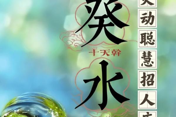 命理中的水命与财运的奇妙关联
