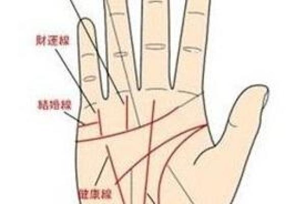 解密手纹:从指纹看出你的命格与未来 解密手纹:从指纹看出你的命格与未来