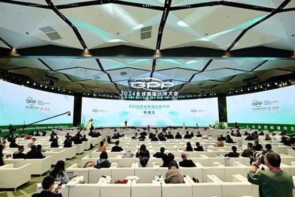 癸水命与最合适的命格搭配：探寻人生的和谐之路