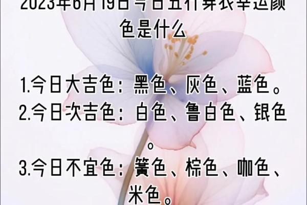 解密2016年生肖与命格:生肖猴的命运解析与人生智慧 解密2016年生肖与命格:生肖猴的命运解析与人生智慧