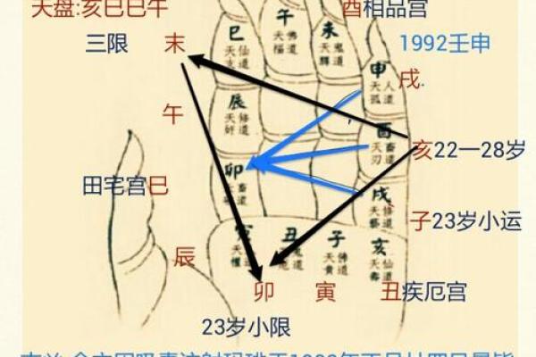 壬申日柱命的独特魅力与人生追求探秘 壬申日柱命的独特魅力与人生追求探秘