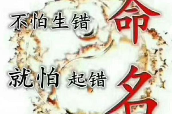 为缺水木女孩命名：智慧与温柔并存的艺术