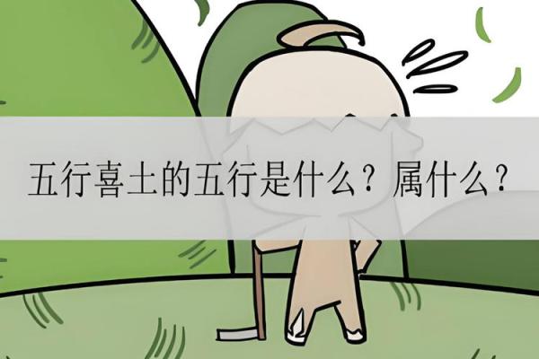 大土命与小土命：探寻命理中的土元素之道