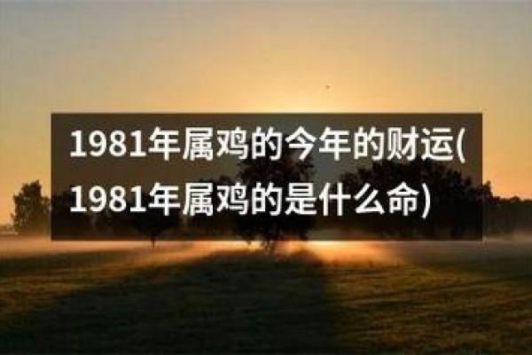2023年属鸡人的命运解析：风生水起的关键时刻