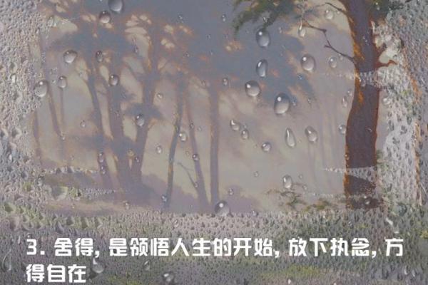 脾气如何影响命运:佛说的智慧与生活哲学 脾气如何影响命运:佛说的智慧与生活哲学
