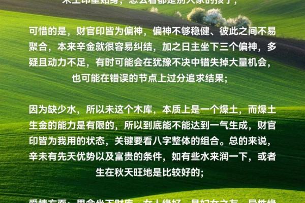 辛亥日柱男命与适配女命：相辅相成的命理之道