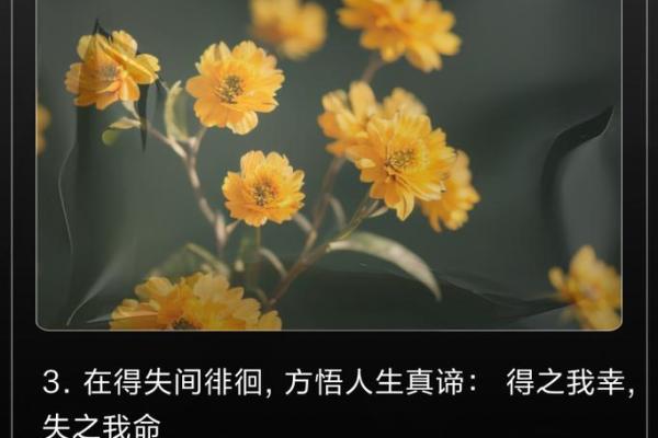 命比什么都重要，人生的真正价值与意义探讨