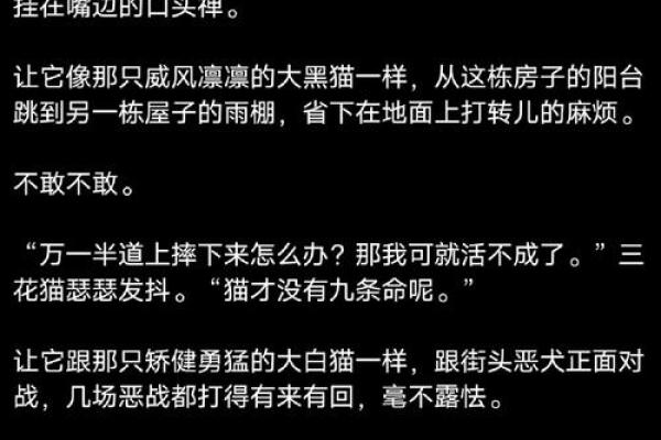 高命与低命的深刻探讨：人生的多样性与选择