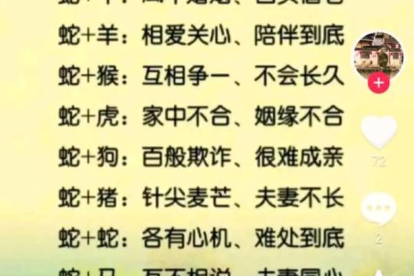 生肖配命：揭秘十二生肖如何寻找到最佳命运搭档！
