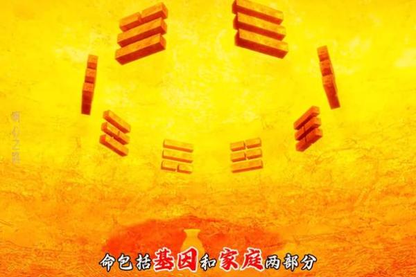 19921014是什么命？探寻这一诞生日期的命运轨迹与人生哲学