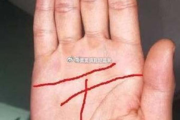 探索男命二两九的命格特征与生活智慧