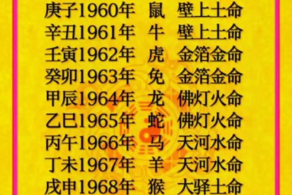 破解命理之奥秘：深入了解木命与水命的奇妙世界