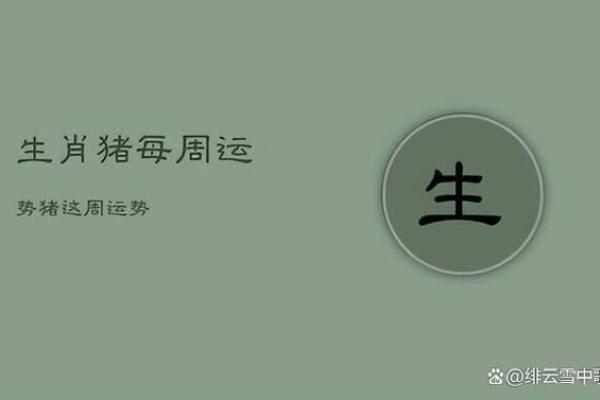 1995年属猪的命理解析与人生运势