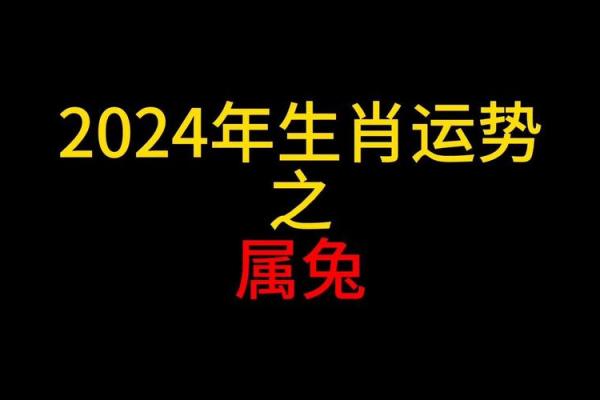 2023年兔年：探索兔子的命理与运势之道