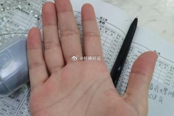 解密20050313的命运密码，探寻辉煌与挑战的双面人生