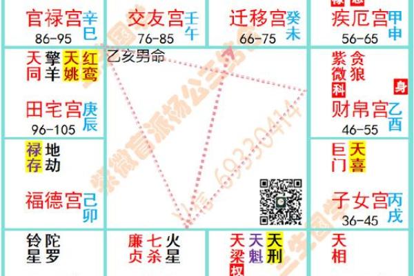 紫薇命与女性：适合的特质与魅力之道探讨