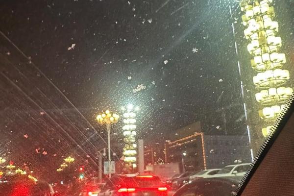 腊月十二的女子命理解析：命中注定，韵味无穷